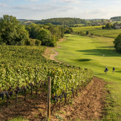 Entre vignes et fairways